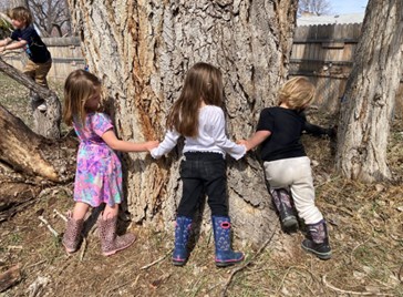 学龄前儿童围着一棵树看它有多大。