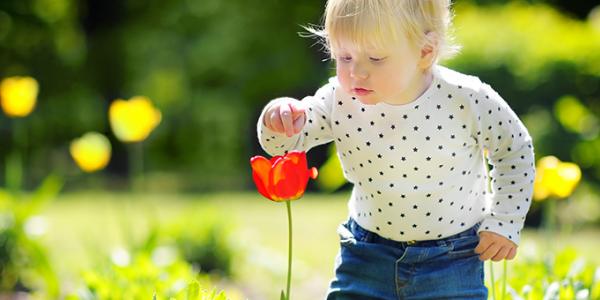 孩子在户外抚摸花园里的一朵花