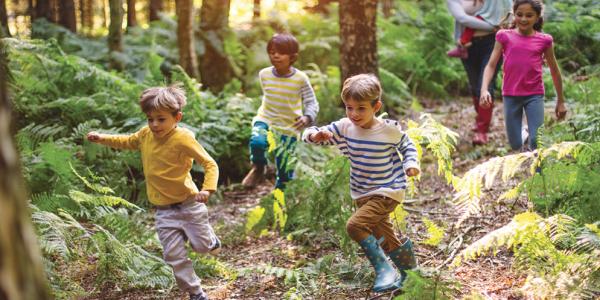 几个孩子在森林里嬉戏地奔跑。