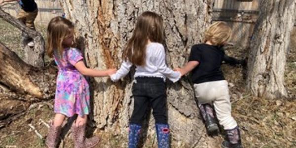孩子们聚集在一棵树周围。