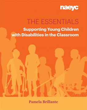 《基本要点:在课堂上支持残疾儿童》封面