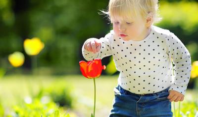 幼儿户外触摸一朵花在花园里