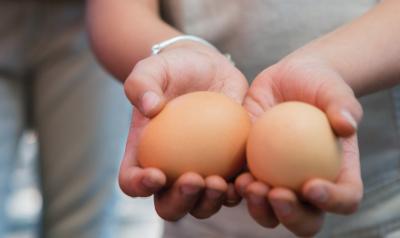 孩子拿着两个棕色的鸡蛋