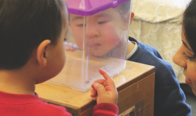 两个蹒跚学步的孩子和老师在塑料盒子里寻找