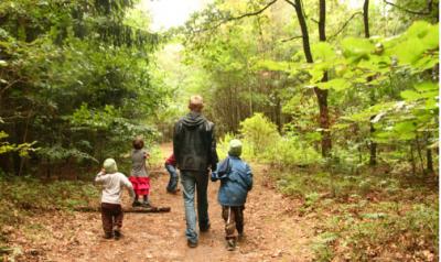 父母与孩子在树林里散步