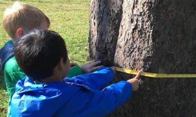 两个孩子在测量一棵树