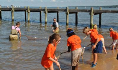 孩子们在海湾用网捕鱼