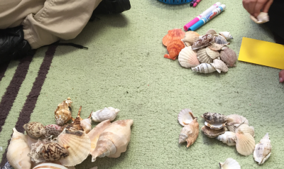 一个孩子在观察一堆贝壳