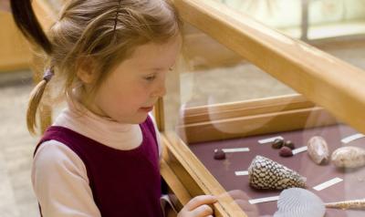 一个女孩在博物馆里看文物。