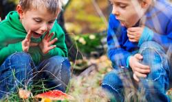 两个小男孩在外面玩，看植物