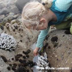 小女孩在海边探索岩石