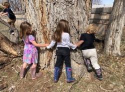 孩子们聚集在一棵树周围。